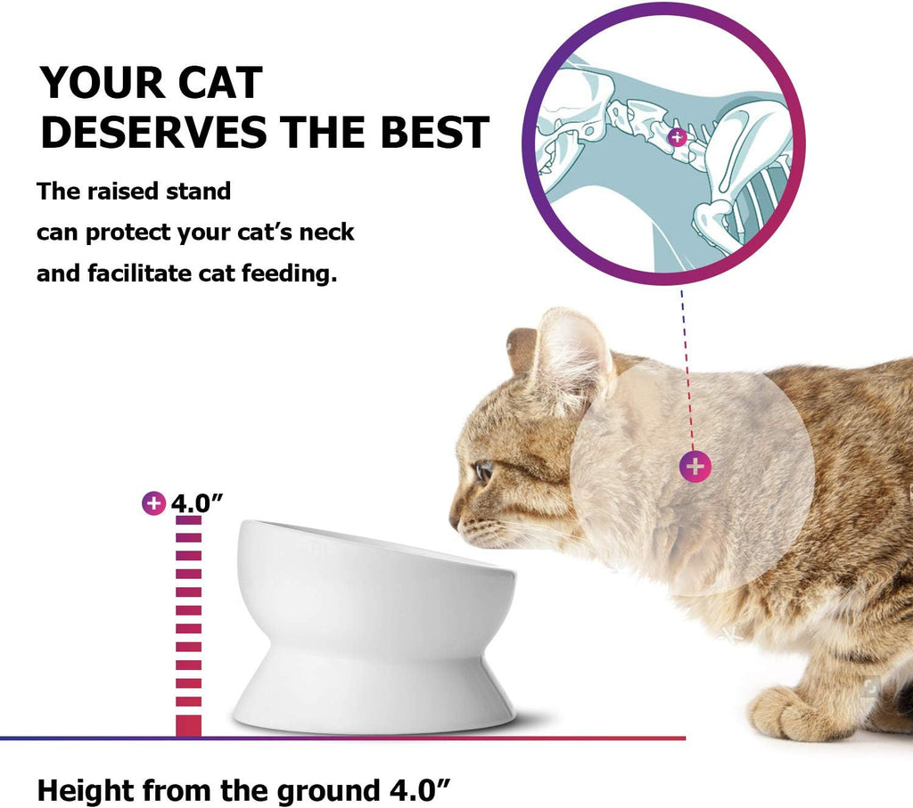 Elevated Ceramic Cat & Small Dog Bowls - No Spill, Tilted Design for Comfortable Eating, Dishwasher Safe, 15oz Capacity