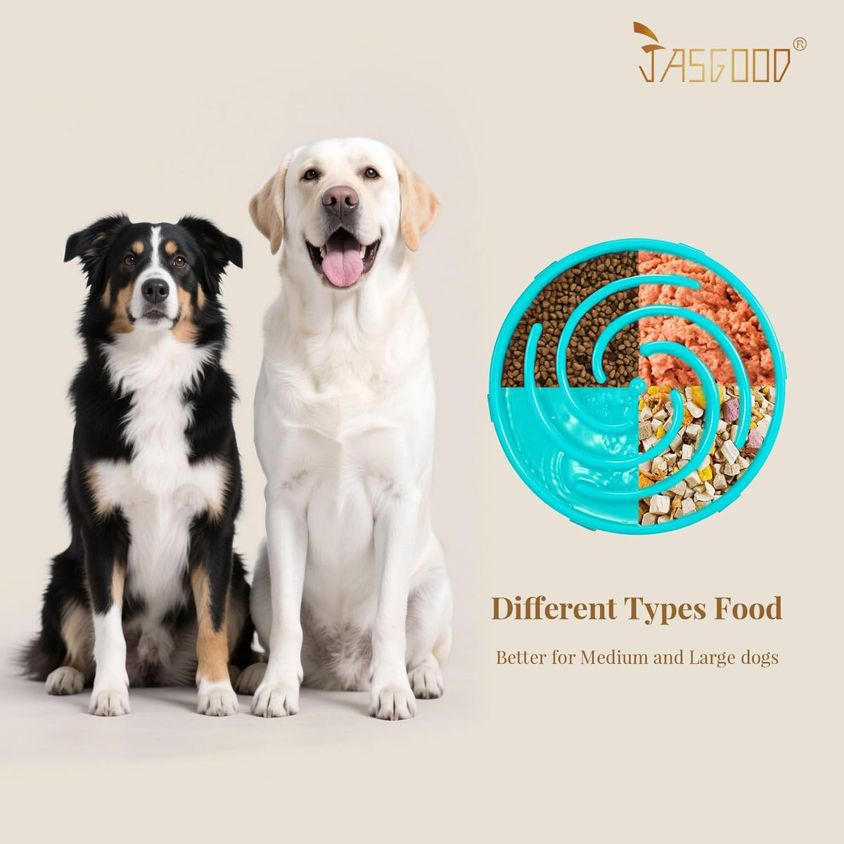 Elevated Slow Feeder Bowl for Large and Medium Dogs - Anti-Gulping Design to Prevent Bloat and Choking