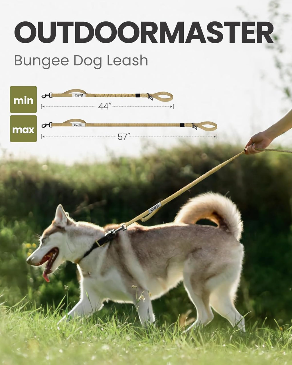 Ultimate Comfort and Control: Heavy-Duty Bungee Dog Leash with Shock Absorption and Padded Handles