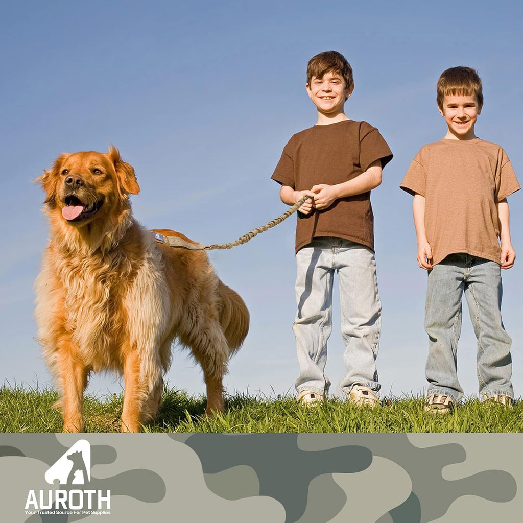 Ultimate Heavy Duty Bungee Dog Leash for Large Breeds - Shock Absorbing, No-Pull Design with Dual Padded Handles