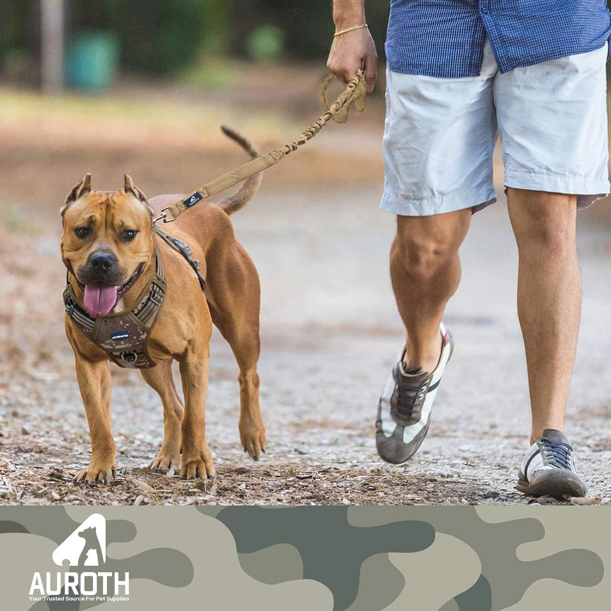 Ultimate Heavy Duty Bungee Dog Leash for Large Breeds - Shock Absorbing, No-Pull Design with Dual Padded Handles