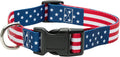 Patriotic American Flag Dog Collar - Classic Design Available in 5 Sizes (Small)