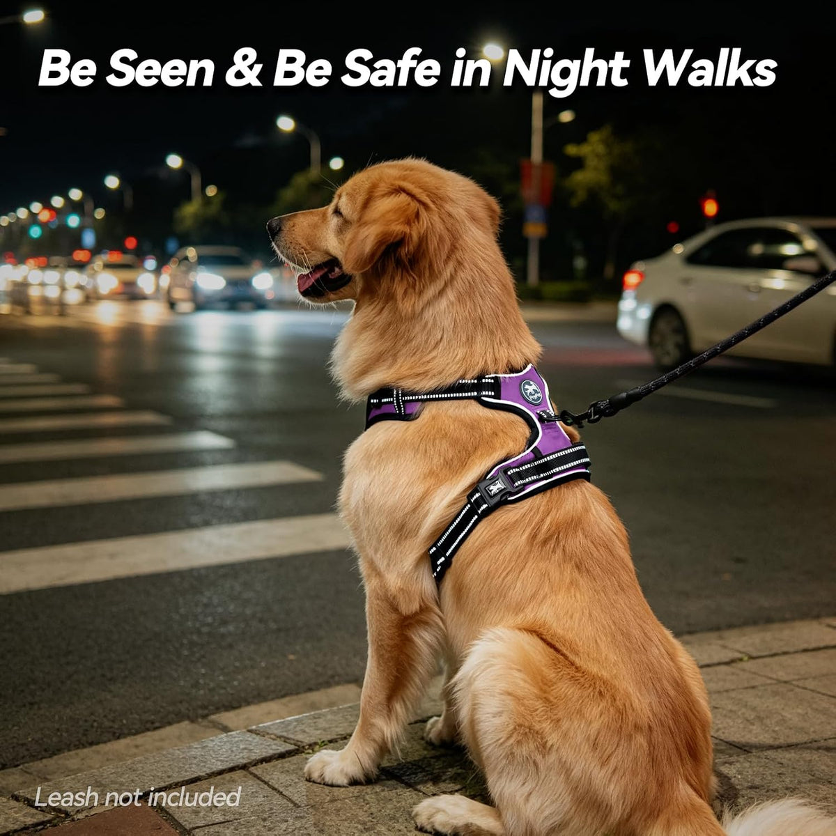 Ultimate No-Pull Dog Harness for Medium Dogs - Comfortable, Adjustable & Reflective