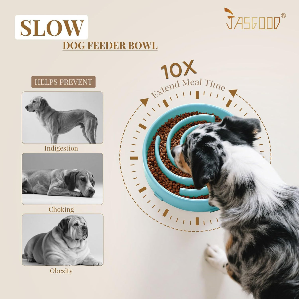 Elevated Slow Feeder Bowl for Large and Medium Dogs - Anti-Gulping Design to Prevent Bloat and Choking
