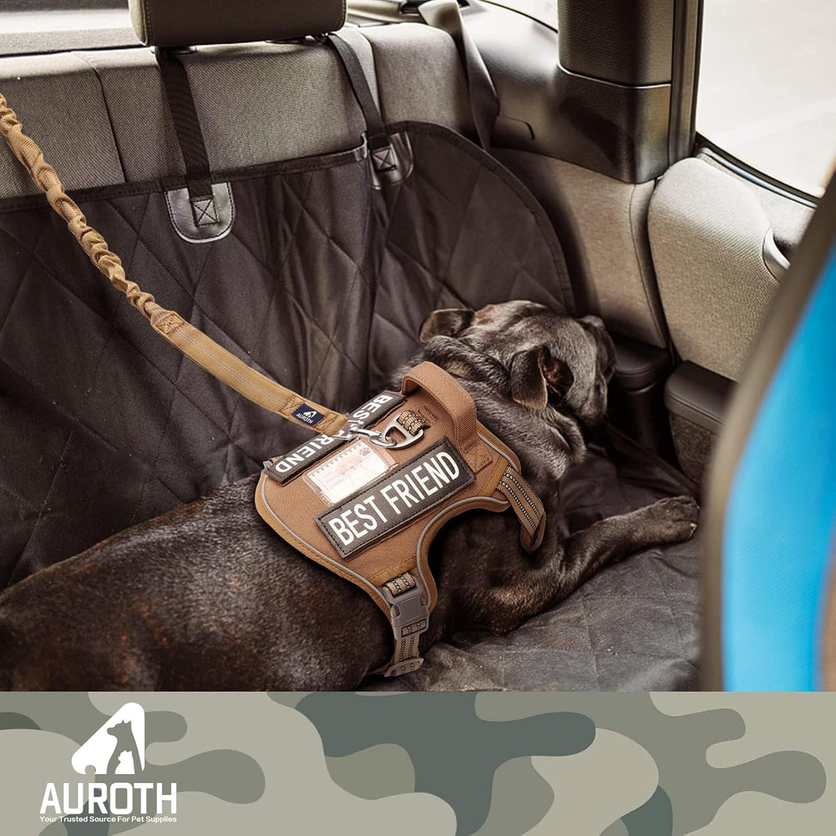 Ultimate Heavy Duty Bungee Dog Leash for Large Breeds - Shock Absorbing, No-Pull Design with Dual Padded Handles
