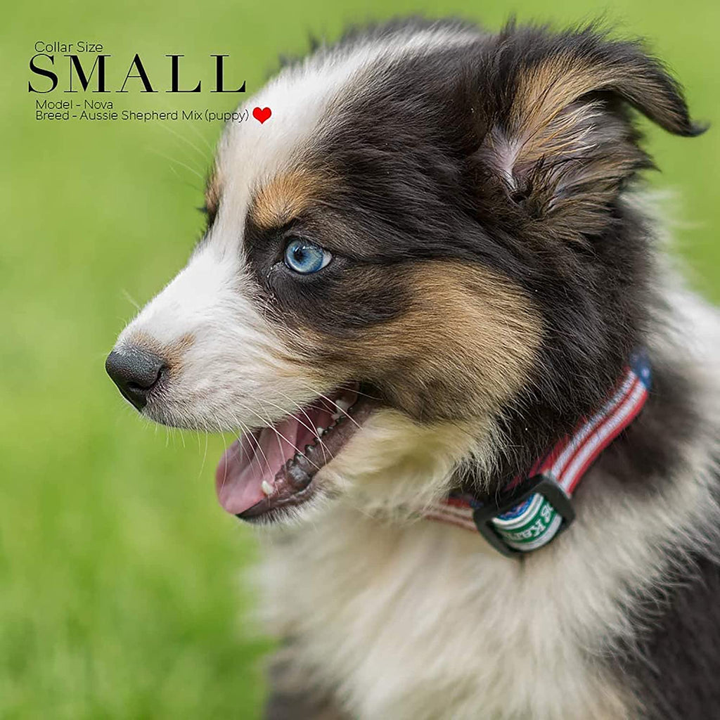 Patriotic American Flag Dog Collar - Classic Design Available in 5 Sizes (Small)