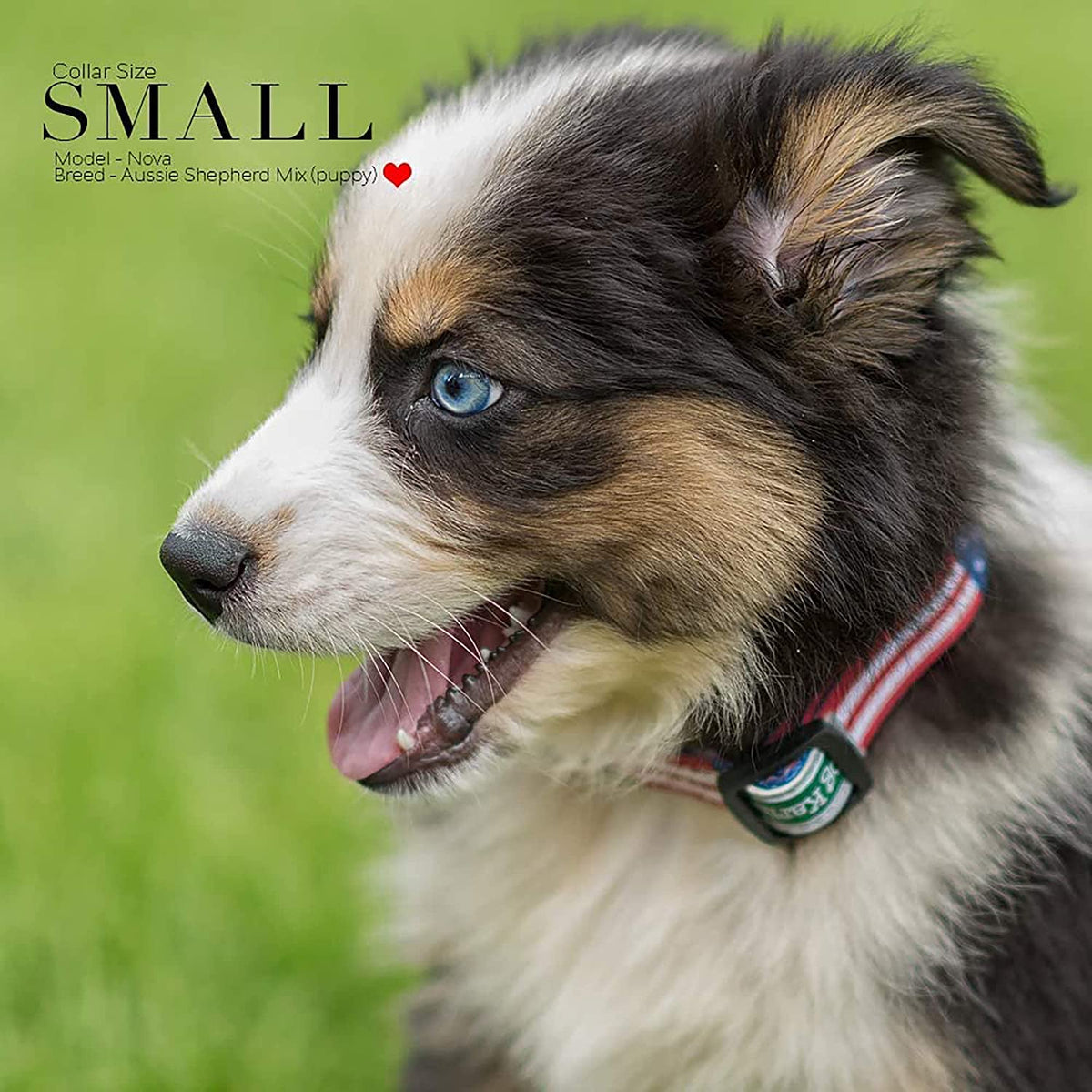 Patriotic American Flag Dog Collar - Classic Design Available in 5 Sizes (Small)