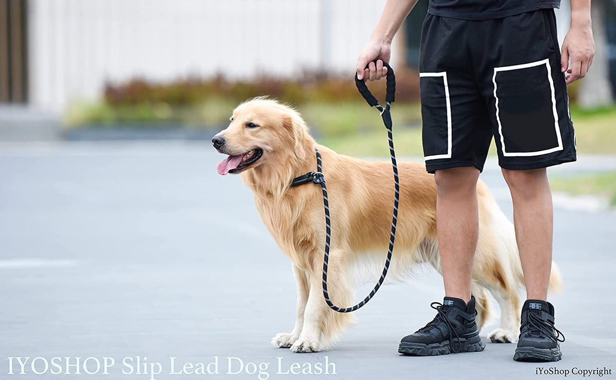 Premium 6FT Durable Slip Lead Dog Leash with Padded Handle - Perfect for Medium to Large Dogs, Black