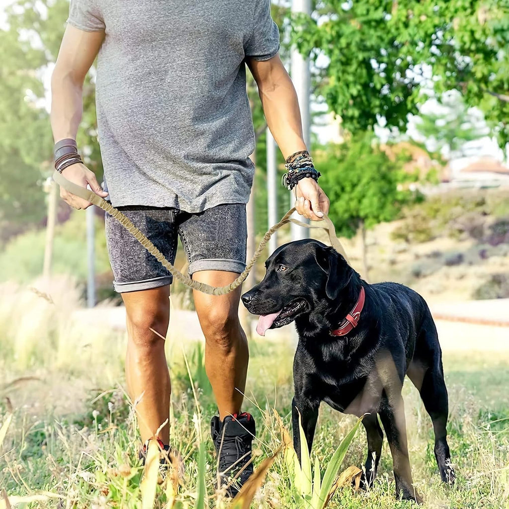 Ultimate Comfort and Control: Heavy-Duty Bungee Dog Leash with Shock Absorption and Padded Handles